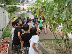 f:id:kagiyas:20210917203748j:plain