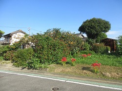 f:id:kagiyas:20210924105930j:plain