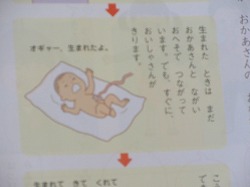 1年生:道徳 いのちのはじまり - かぎやっ子日記