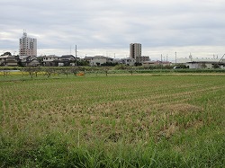 f:id:kagiyas:20211018140148j:plain