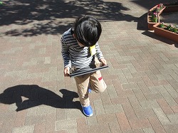 f:id:kagiyas:20211023215512j:plain