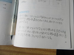 6年生 理科 リトマス紙を使って かぎやっ子日記 6年生 理科 リトマス紙を使って かぎやっ子日記