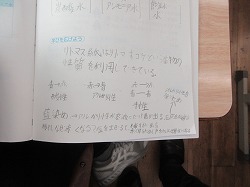 6年生 理科 リトマス紙を使って かぎやっ子日記 6年生 理科 リトマス紙を使って かぎやっ子日記