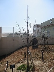 f:id:kagiyas:20220228213357j:plain