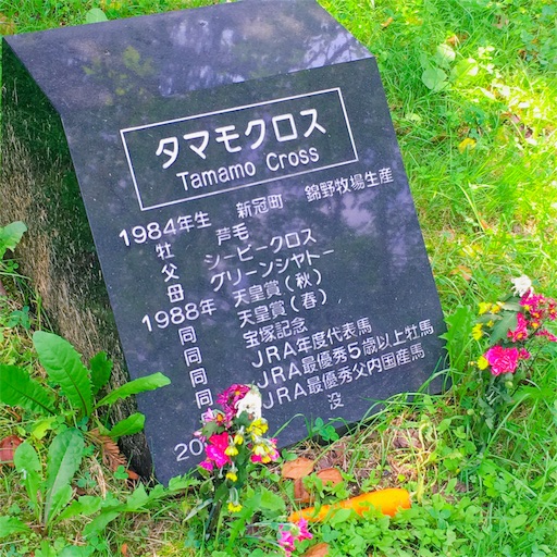 f:id:kago26:20190824161104j:image f:id:kago26:20190824161104j:image