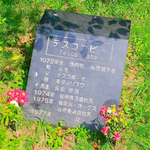 f:id:kago26:20190824161110j:image f:id:kago26:20190824161110j:image