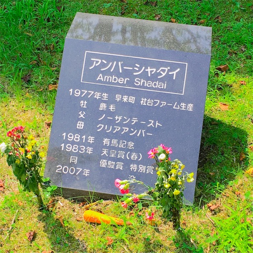 f:id:kago26:20190824161144j:image f:id:kago26:20190824161144j:image