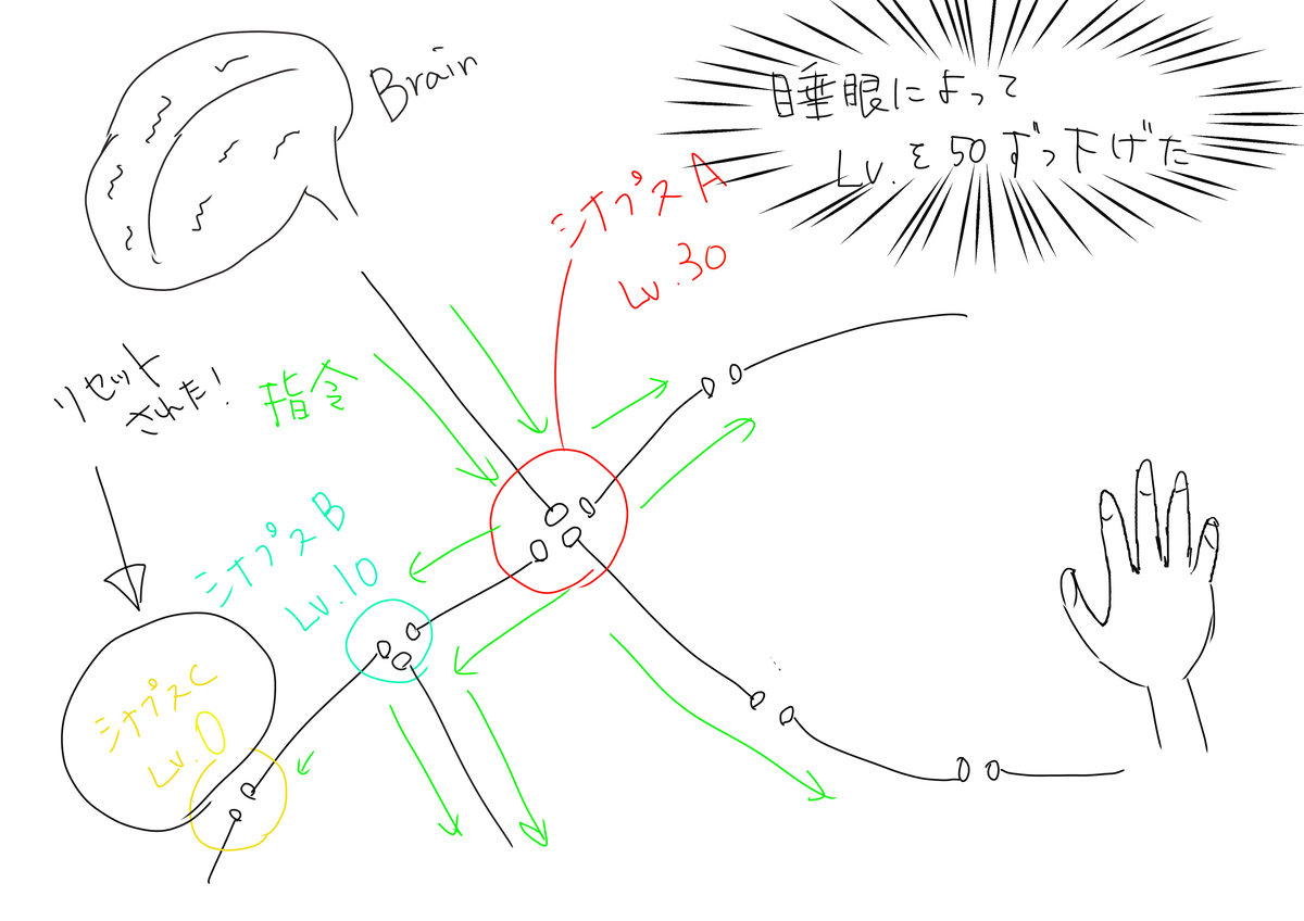 f:id:kago486:20190508012128j:plain f:id:kago486:20190508012128j:plain