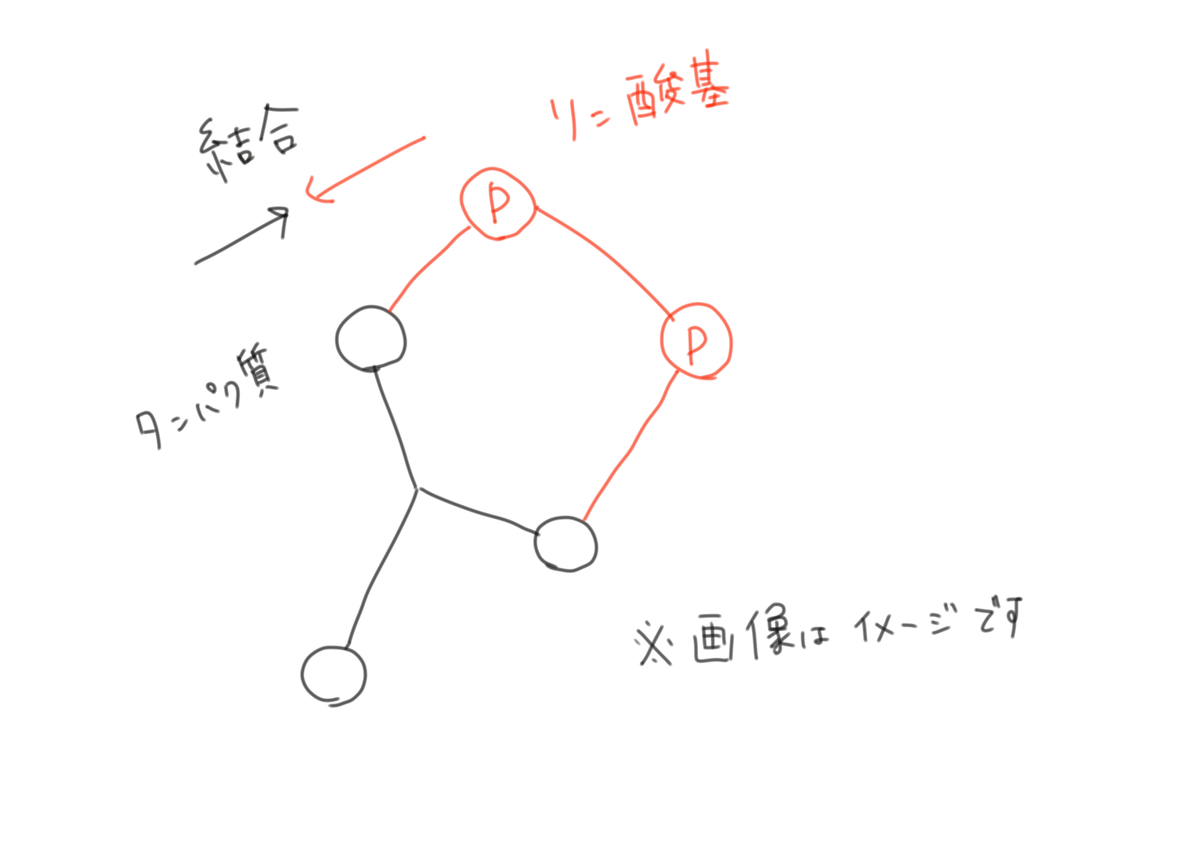 f:id:kago486:20190513224620j:plain f:id:kago486:20190513224620j:plain