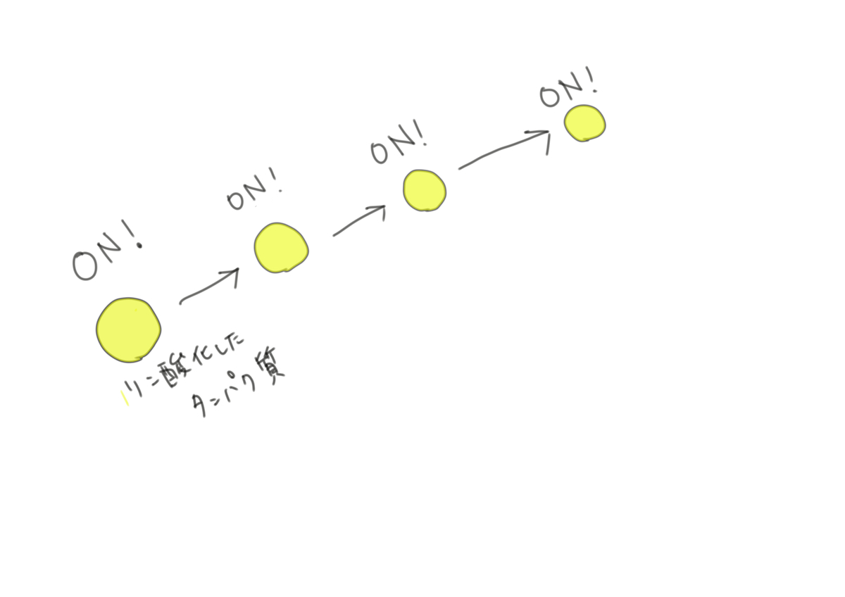f:id:kago486:20190513225821j:plain f:id:kago486:20190513225821j:plain
