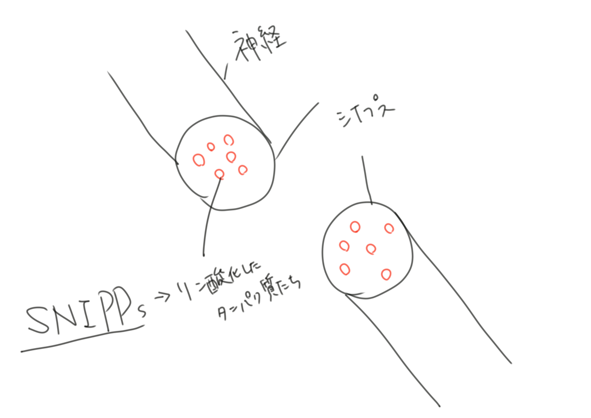 f:id:kago486:20190513234605j:plain f:id:kago486:20190513234605j:plain
