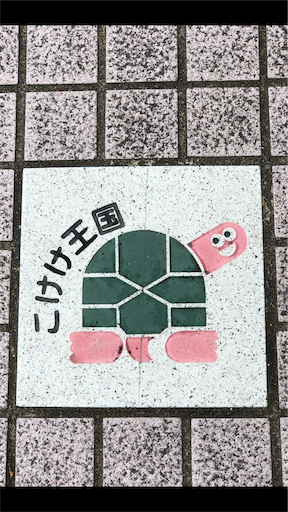 こけけ王国 それゆけ 地域