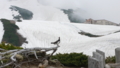 立山の雷鳥