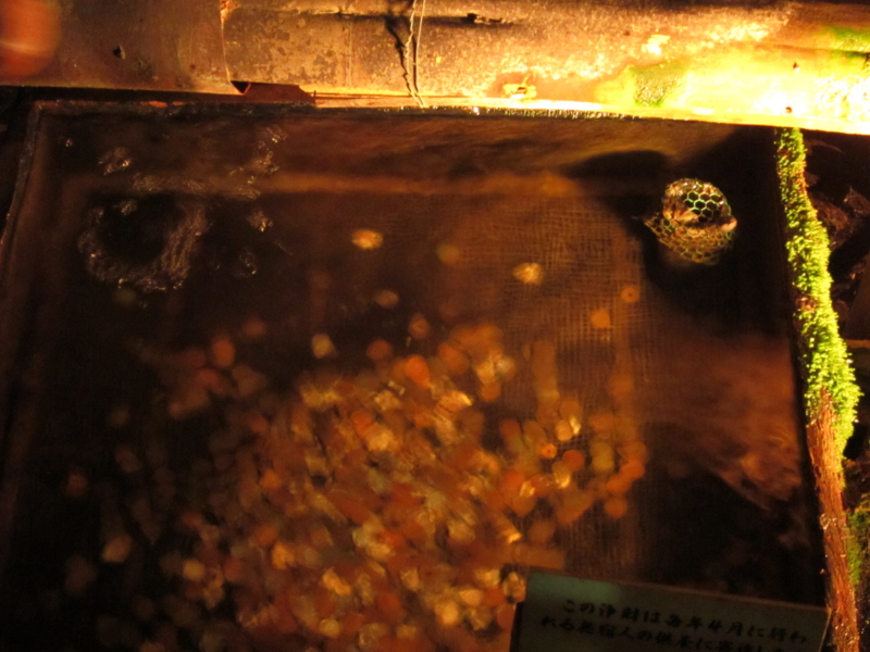 f:id:kagobon:20110717131332j:image:w640