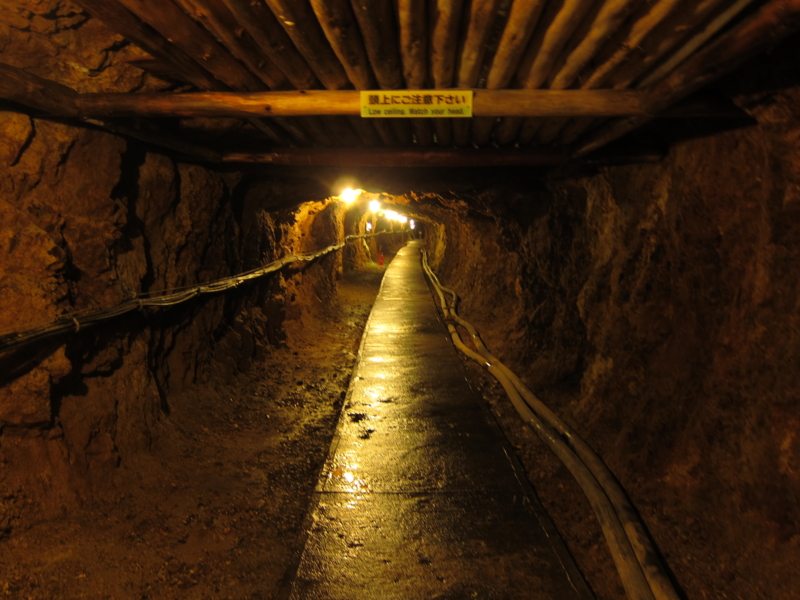 f:id:kagobon:20110717135232j:image:w640