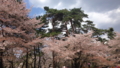 20140406123835