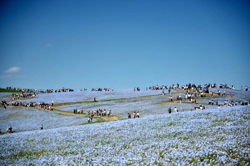 f:id:kagobon:20150510143138j:image:w640