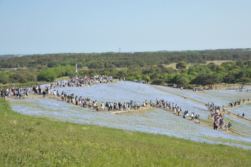 f:id:kagobon:20150510144241j:image:w640