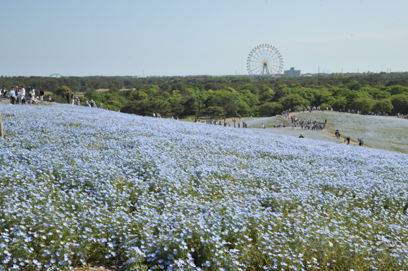 f:id:kagobon:20150510144843j:image:w640