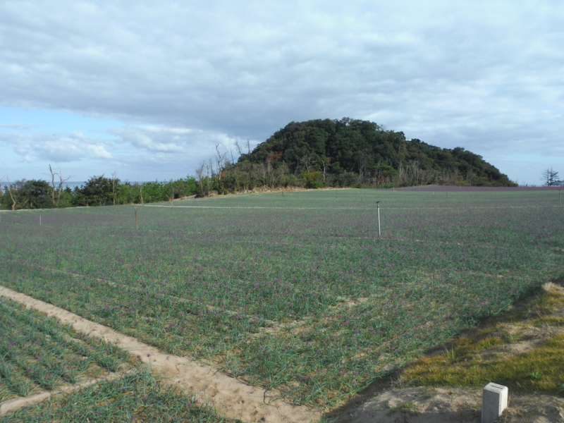 f:id:kagobon:20151101091350j:image:w640