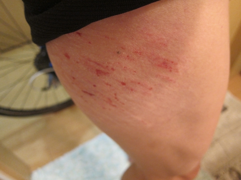 f:id:kagobon:20171210105809j:image:w360