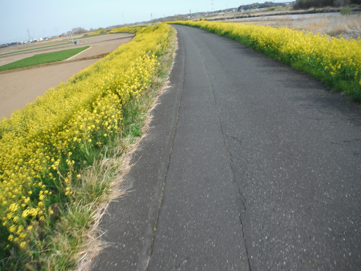 f:id:kagobon:20190407080559j:plain f:id:kagobon:20190407080559j:plain