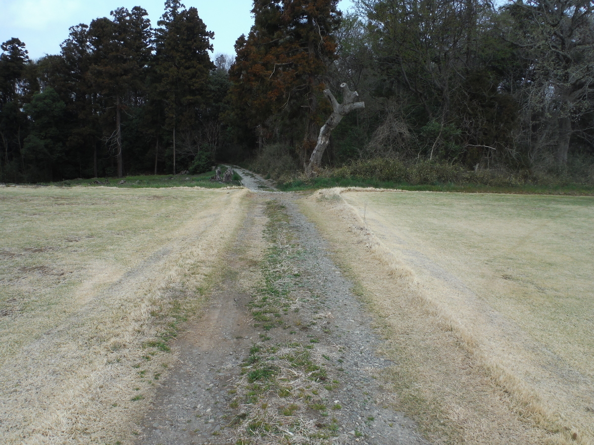 f:id:kagobon:20190407092719j:plain f:id:kagobon:20190407092719j:plain