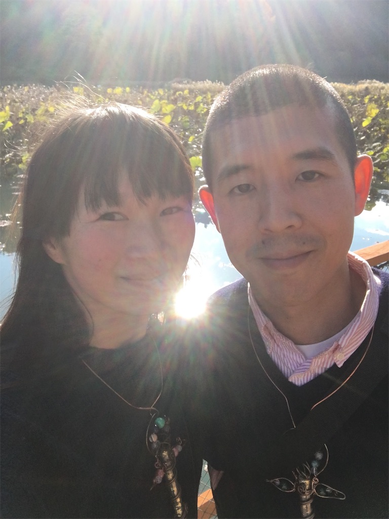 f:id:kagomedo:20181114122633j:image