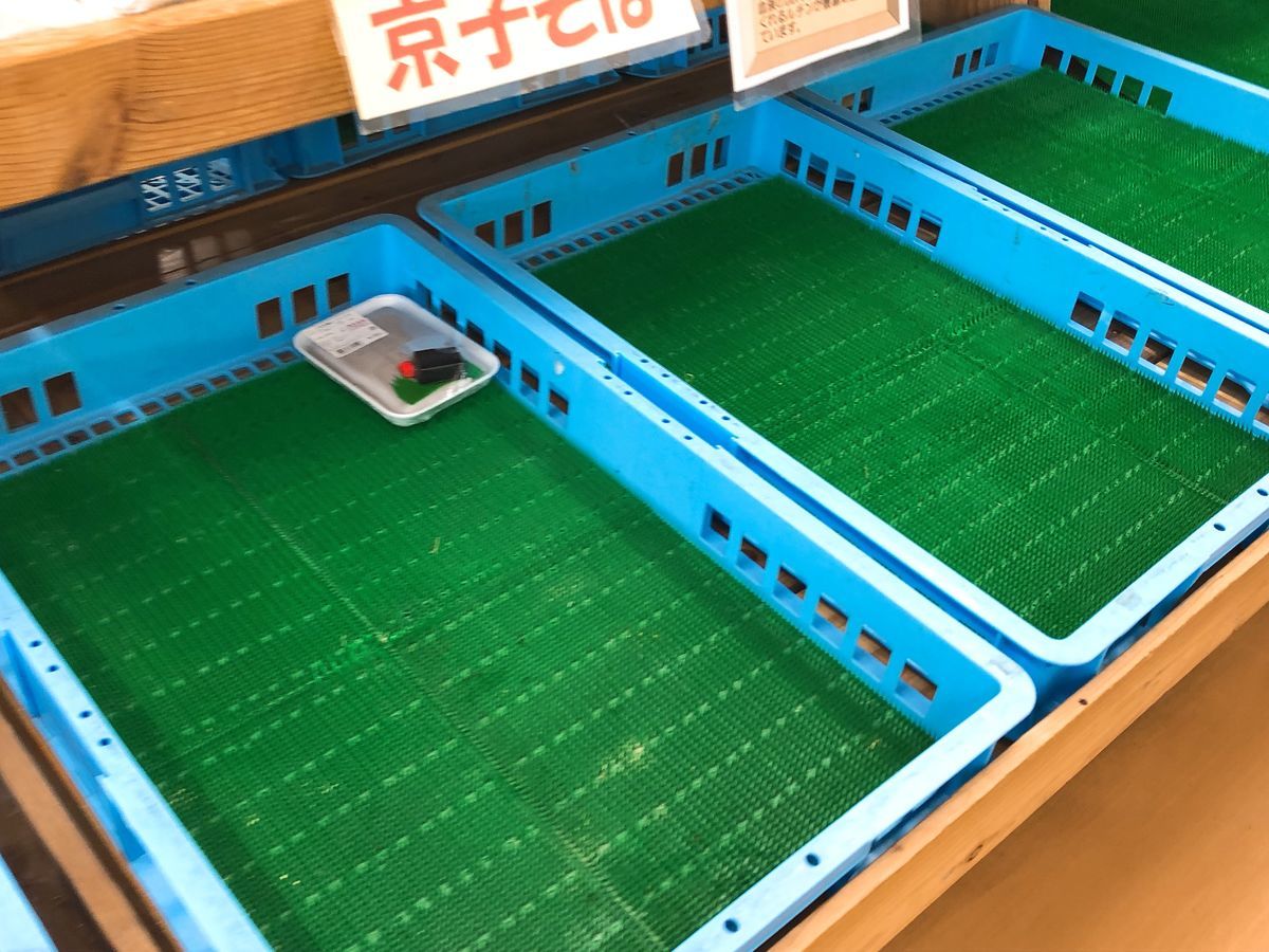 鹿児島道の駅巡りブログにしきの里錦江町神川海岸影絵アート