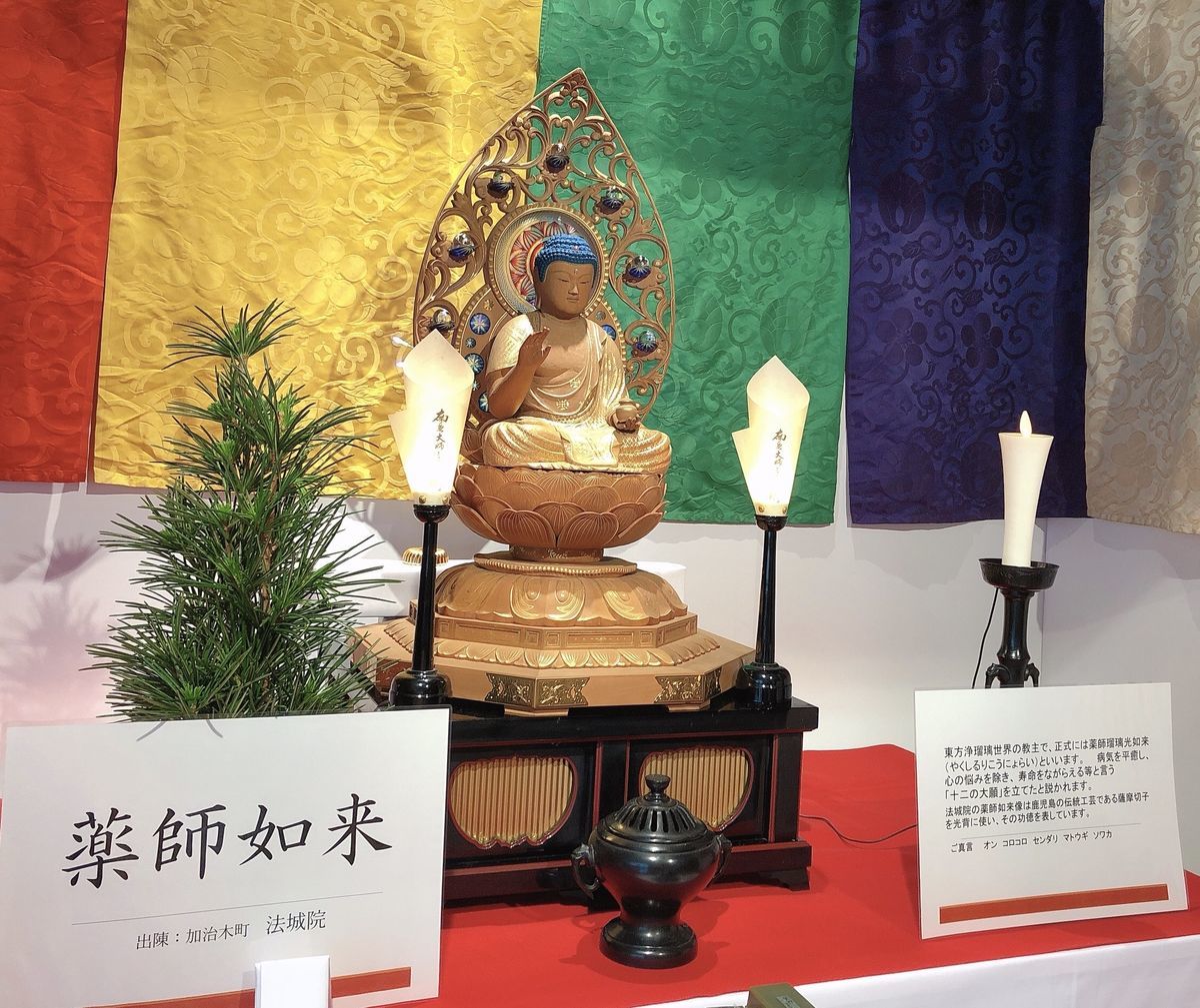 f:id:kagomegu:20200609144749j:plain