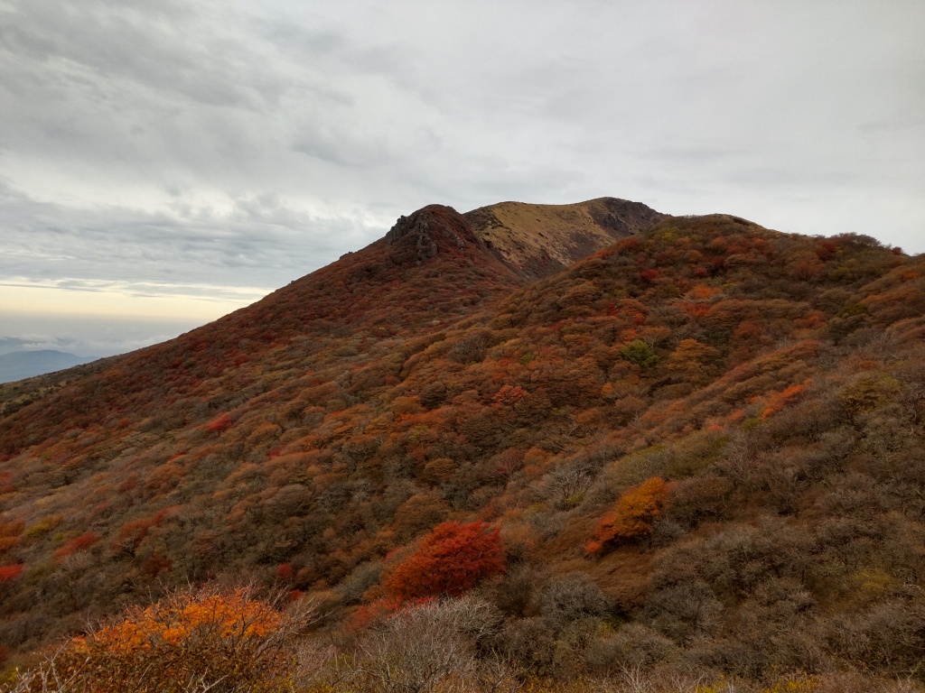 さくっと行ってきた。