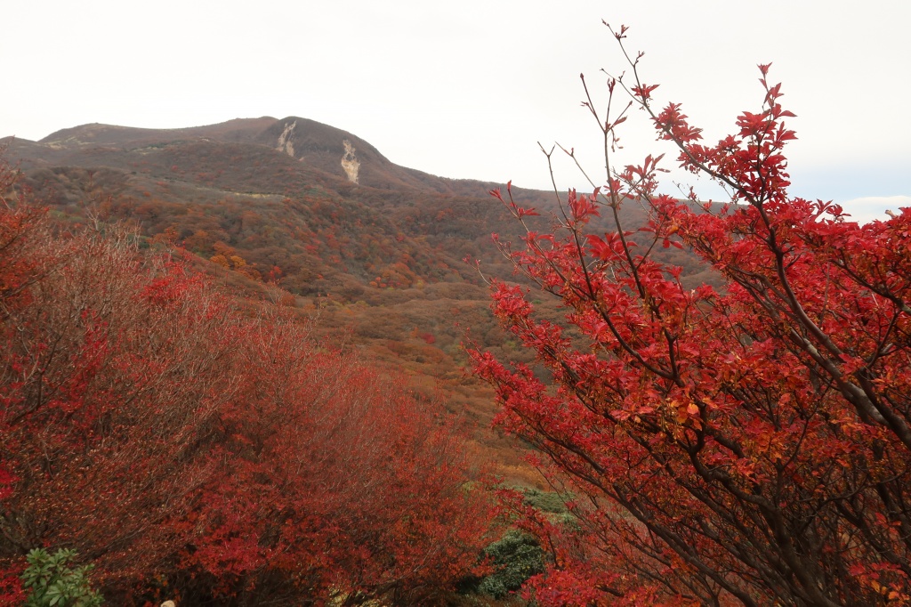 まずまずの紅葉具合だが天気がイマイチだったのが残念!