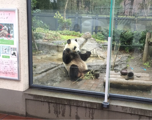 f:id:kagoshima384:20150320184936j:plain f:id:kagoshima384:20150320184936j:plain
