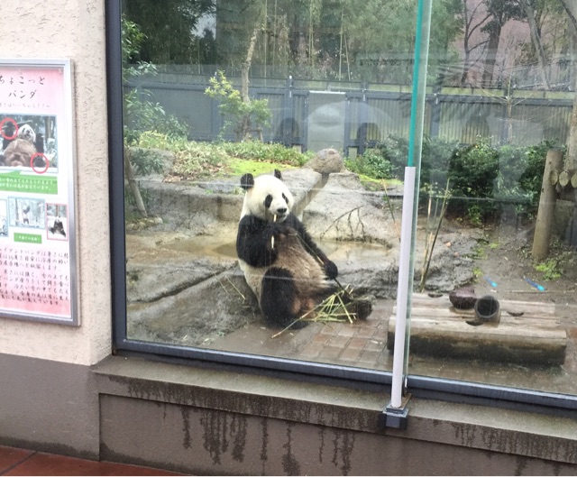 f:id:kagoshima384:20150320185040j:plain f:id:kagoshima384:20150320185040j:plain