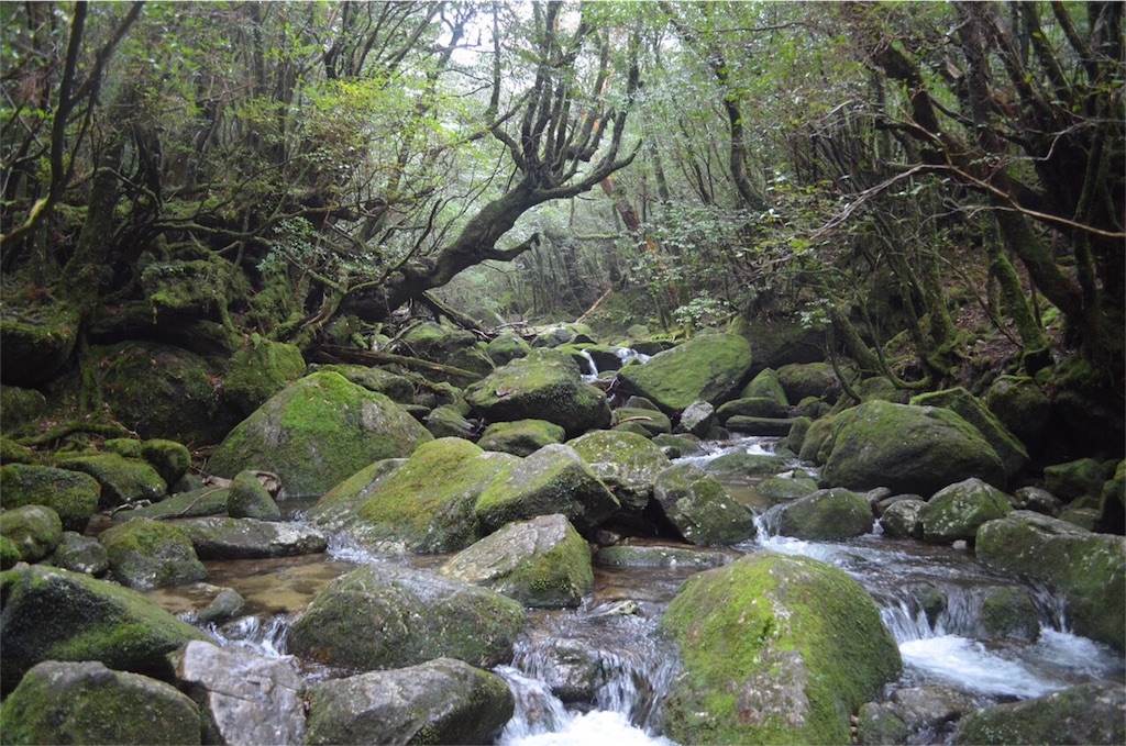 f:id:kagoshima384:20160323182119j:image f:id:kagoshima384:20160323182119j:image