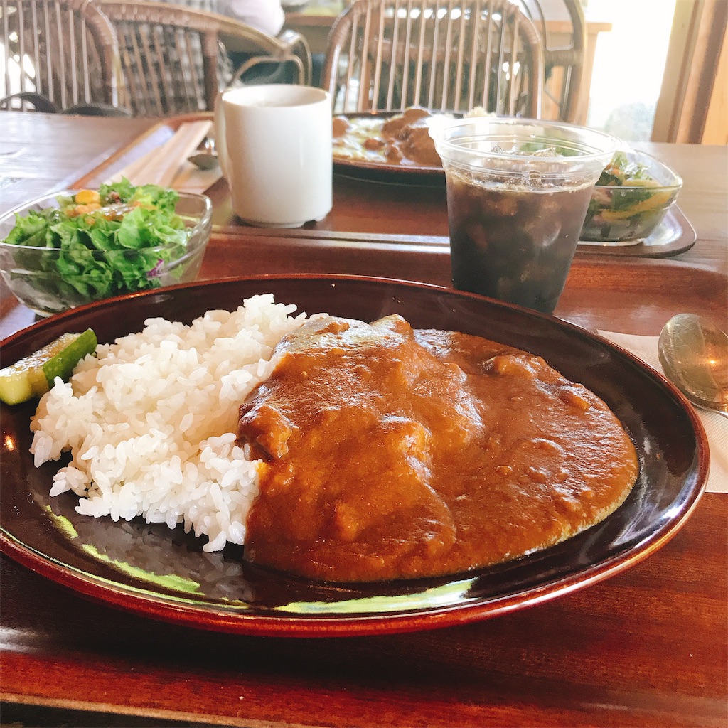 f:id:kagoshimayoshiko:20190531155411j:image