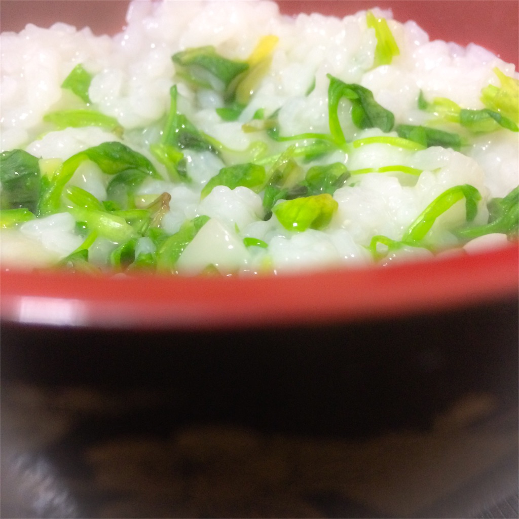 f:id:kagurakanon:20170108220029j:image f:id:kagurakanon:20170108220029j:image