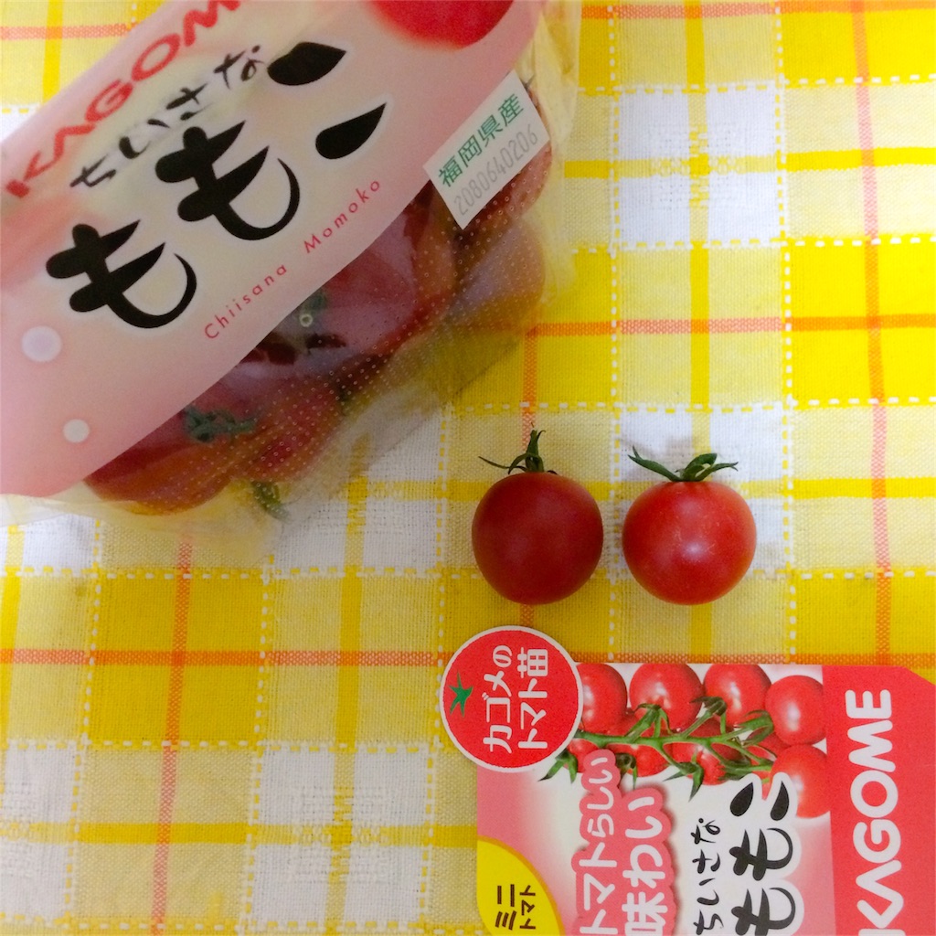 f:id:kagurakanon:20170629232422j:image f:id:kagurakanon:20170629232422j:image