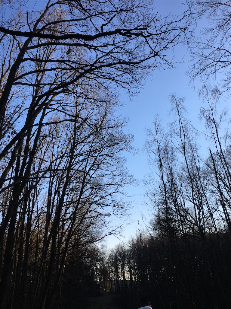 f:id:kahayag:20220304015412j:image