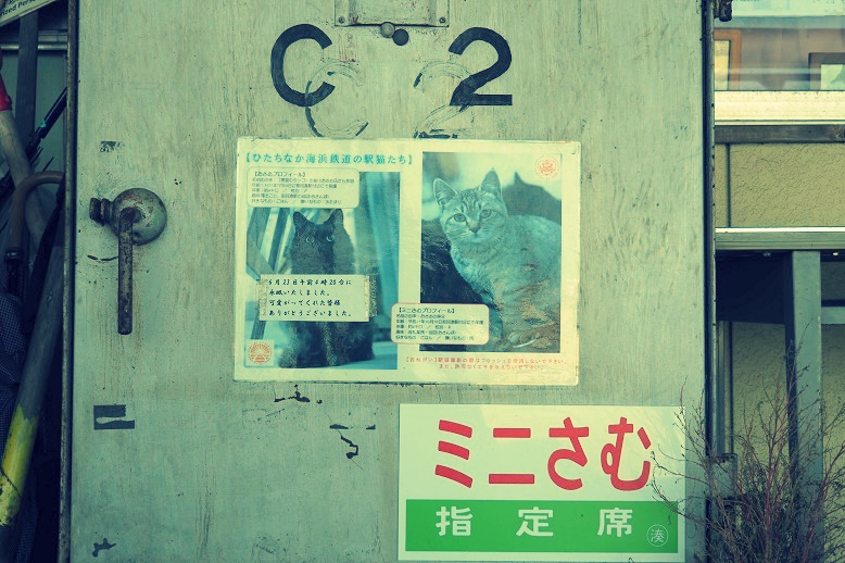 f:id:kaho0212:20191109142103j:plain f:id:kaho0212:20191109142103j:plain