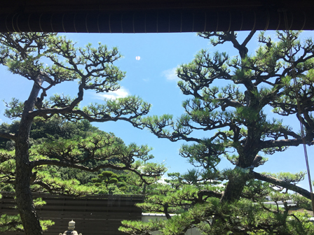 f:id:kaho1one:20210205132419j:plain