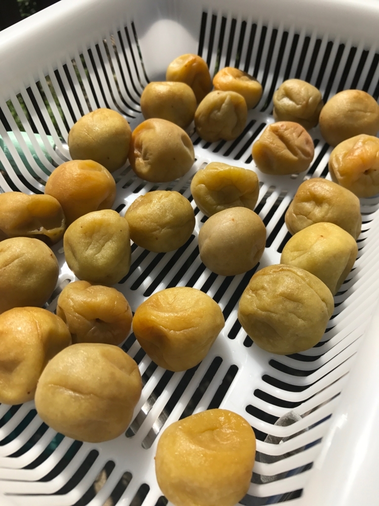 f:id:kahoudosystem:20180524140602j:plain f:id:kahoudosystem:20180524140602j:plain