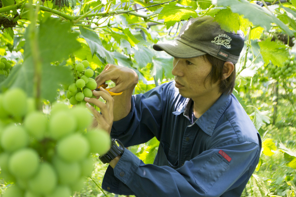 f:id:kahoudosystem:20180627133345j:plain f:id:kahoudosystem:20180627133345j:plain