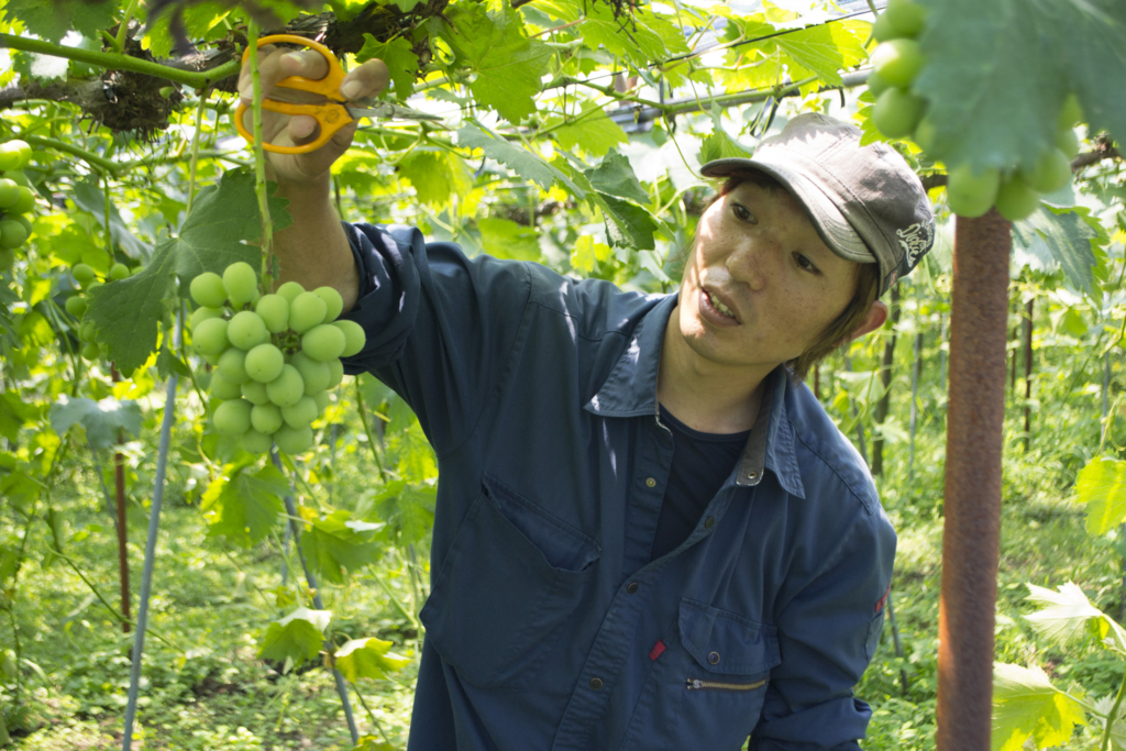 f:id:kahoudosystem:20180627134025j:plain f:id:kahoudosystem:20180627134025j:plain