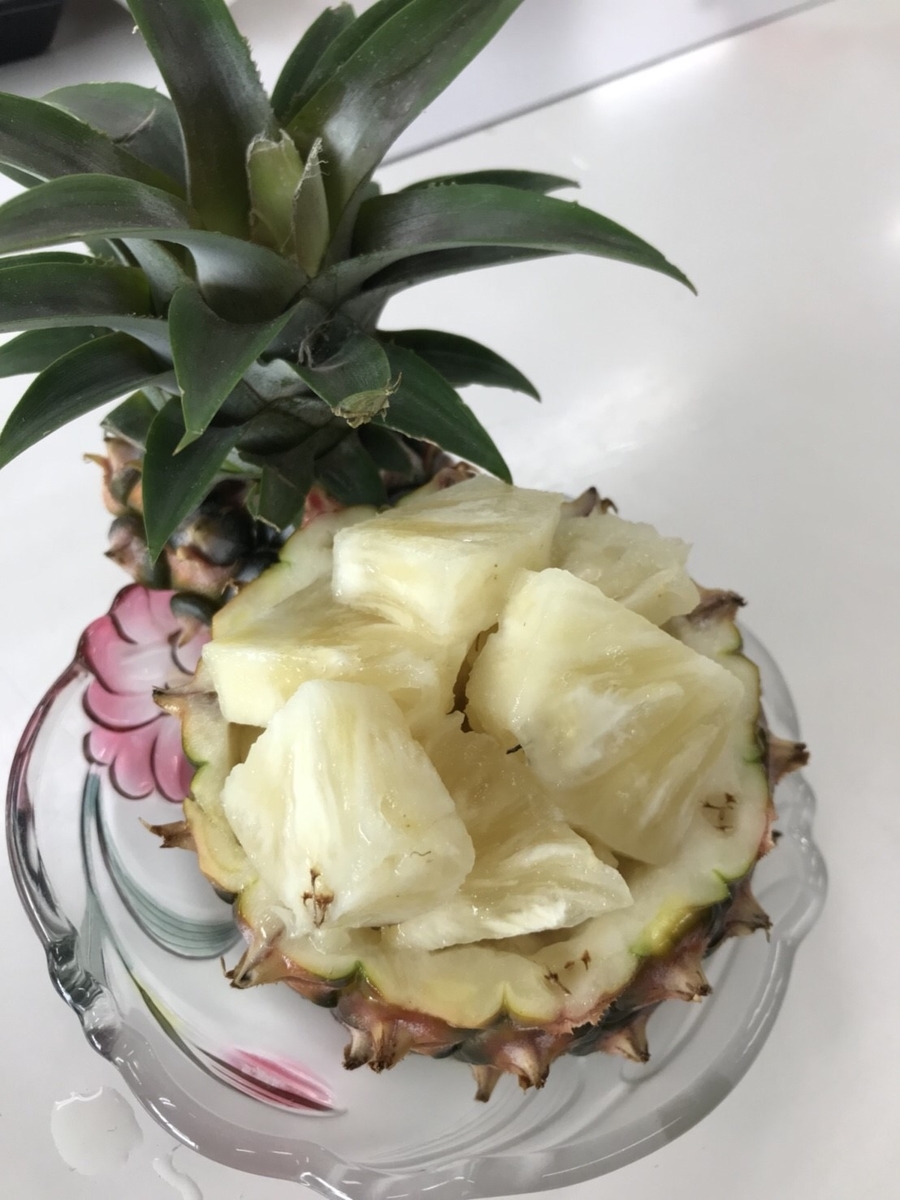 f:id:kahoudosystem:20190404163413j:plain f:id:kahoudosystem:20190404163413j:plain