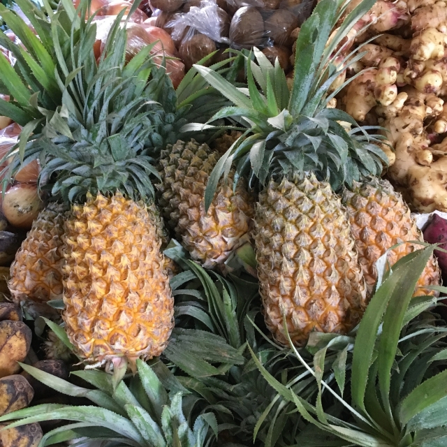 f:id:kahoudosystem:20190404163629j:plain f:id:kahoudosystem:20190404163629j:plain