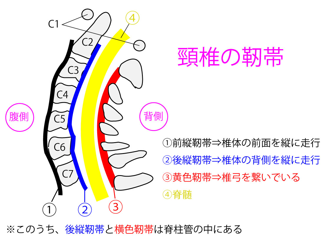 OPLLな日々