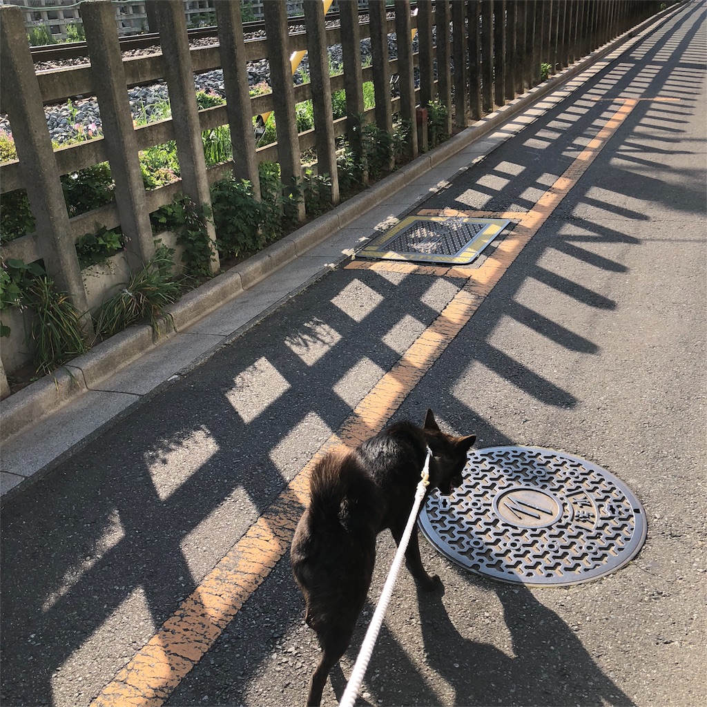 f:id:kai-koume:20180421213216j:image f:id:kai-koume:20180421213216j:image