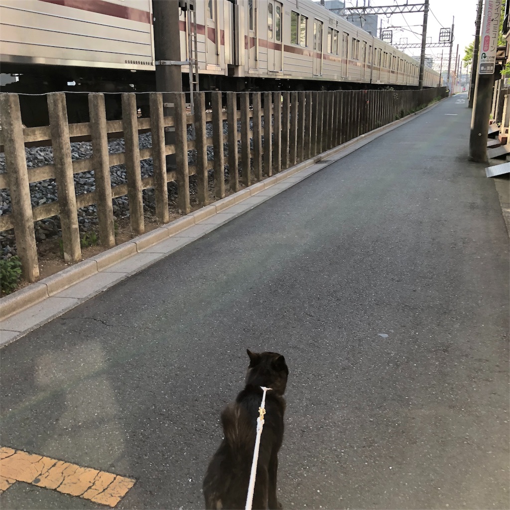 f:id:kai-koume:20180421213514j:image f:id:kai-koume:20180421213514j:image