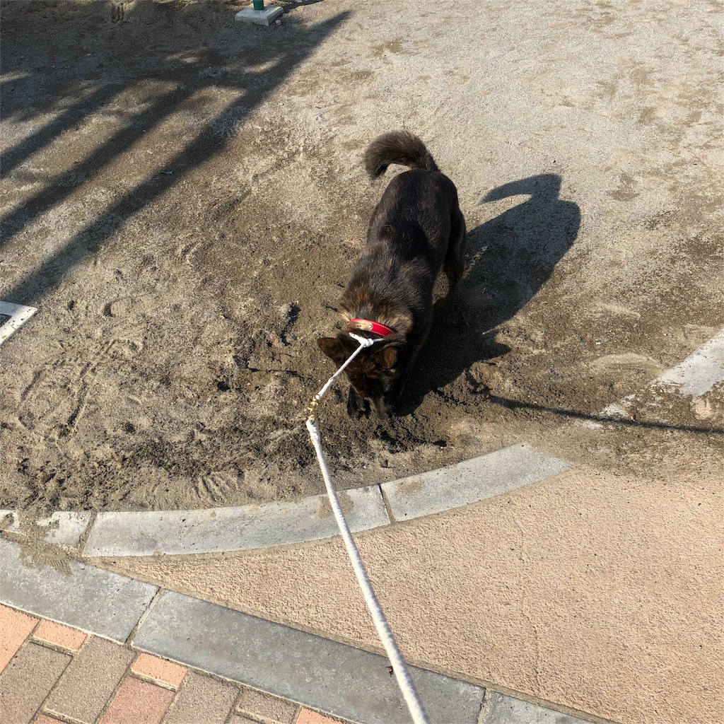 f:id:kai-koume:20180422074851j:image f:id:kai-koume:20180422074851j:image